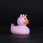 rubber duck